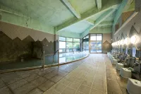 Hotel Seiunso - Hot Springs