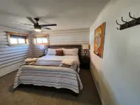 Mid Century Gem! Close to campus, downtown and bus stop. Clean and comfortable. - Boutique