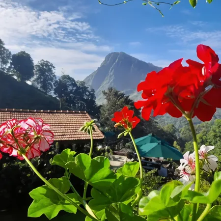 Ella Flower Garden Resort