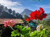 Ella Flower Garden Resort - Mountain View