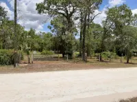 Small Town Florida - Familievenlig