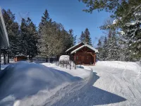 Secluded cabin in the woods-UTV, hunting, fishing, pet friendly - Chalets