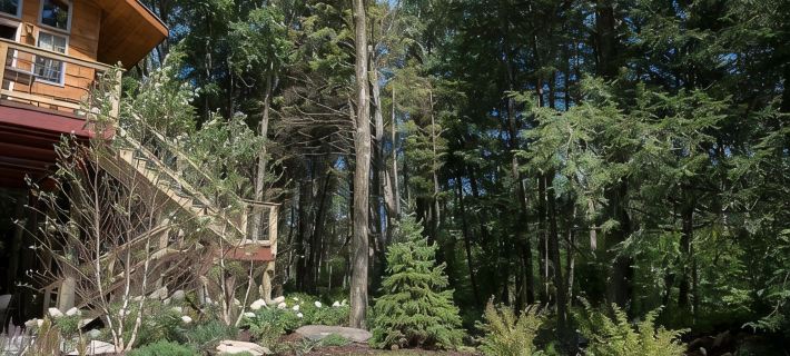 Owl's Nest  - Treehouse -2mi. from Falls Trailhead Hotels in Luzerne County