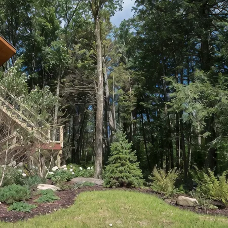 Owl's Nest - Treehouse -2mi. from Falls Trailhead
