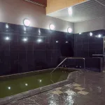Hotel Okudaya - واي فاي