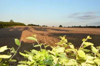 Enjoy stunning views over Kiel and nature - 2-Sterne