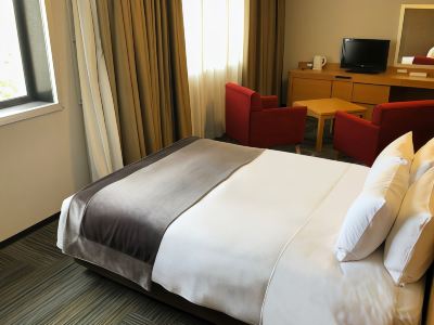 デラックスダブル(禁煙) アートホテル成田の写真