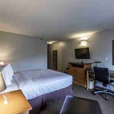 Travelodge by Wyndham Parksville Rooms