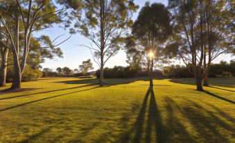 a sunny day at a golf course , with two trees casting long shadows on the grass at Ibis Budget Brisbane Airport