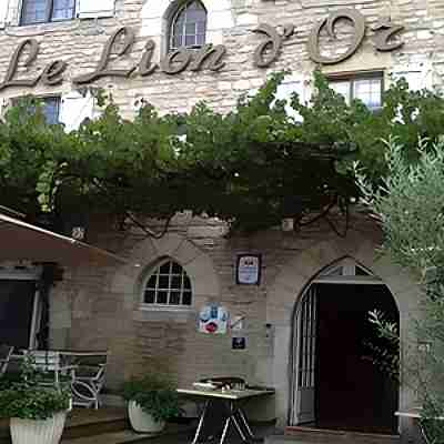 Logis Hôtel le Lion d'Or Hotel Exterior