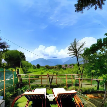 Seclude Palampur