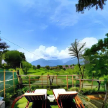 Seclude Palampur