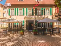 Stadthotel Haslach Hotel di Fischerbach