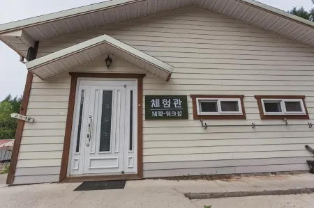 Gangwon Taegisan Morning Birdsong