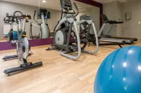 Nemea Appart Hotel Grand Cœur Nancy Centre