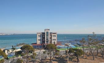 Pohang Ara Ocean View Pension