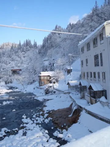 Tamanashi Onsen Ebisuya