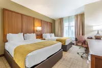 Comfort Inn & Suites Lakewood by Jblm - WiFi