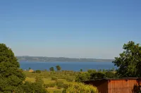 Podere la Damesca - Agriturismo "La Fraschetta" - 뷰