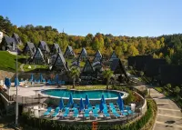 World Dreams Sapanca - Pools