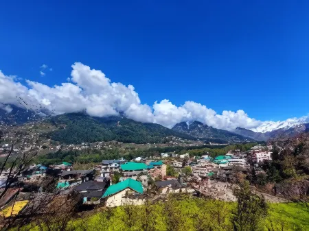 The Trip House, Manali Отели рядом с достопримечательностью «Igloo stay sethan»