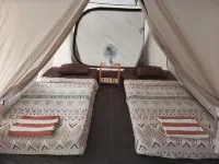 HEHA FOREST CAMP - 2-Star
