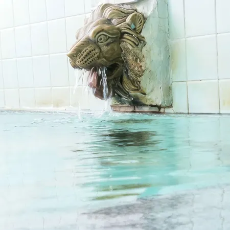 Furusawa Onsen Koyokan