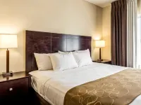 SureStay by Best Western Marion