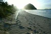 Limeberry House, easy walking to Longbay & Smugglers Cove, beaches -  Casas de vacaciones