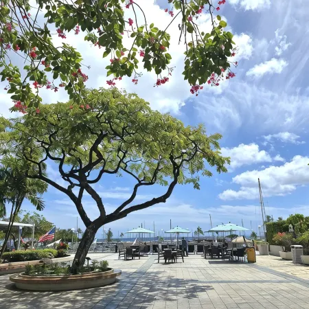 New Aloha Waikiki Ilikai Hotel Condo