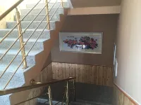 Xinglong Hongda Farmhouse - Ramah Hewan Peliharaan
