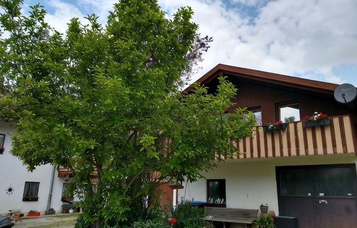 Wohnung/ferienhäuschen