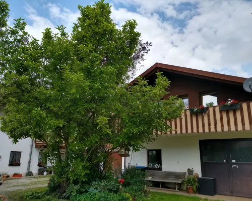 Wohnung/ferienhäuschen Hotele w: Eggstatt