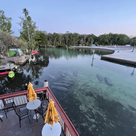 Epic Weeki Wachee Paddle House Included Paddleboards and Kayaks!