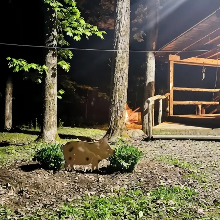 Charming Full Bed & 2 Twin Bed  cabin w/AC, Heat, WiFi in lovely Cooperstown,