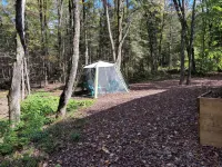 Riverside cabin in the woods