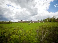 Wild Rose in Rural Location with Lovely Views on a Working Farm with Walks Hotele w: Jedburgh