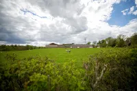 Wild Rose in Rural Location with Lovely Views on a Working Farm with Walks