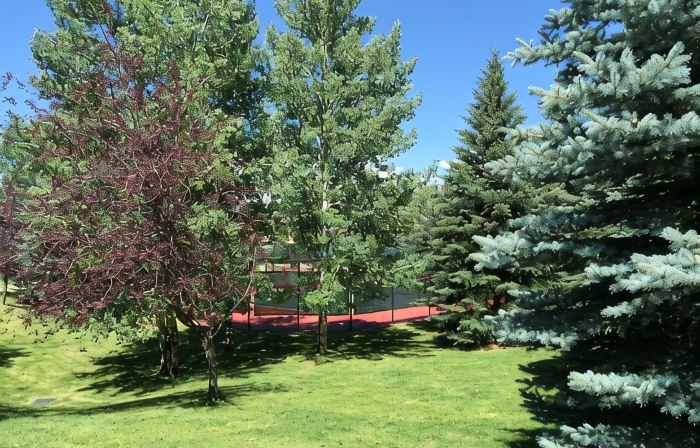 Home for 22, Ski Shuttle, Hot Tub, Pool, Dog OK Tennis/Pickleball/Pool Table