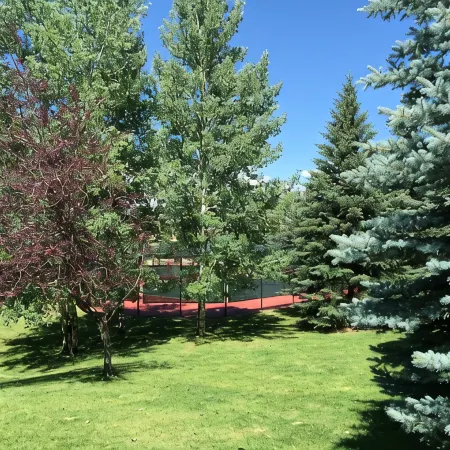 Home for 22, Ski Shuttle, Hot Tub, Pool, Dog OK Tennis/Pickleball/Pool Table