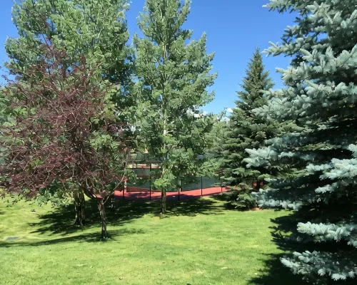 Home for 22, Ski Shuttle, Hot Tub, Pool, Dog OK Tennis/Pickleball/Pool Table Ξενοδοχεία στην πόλη Edwards