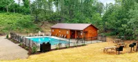 Gorgeous Smoky Mountain Views! Amazing Views Near Pigeon Forge & Gatlinburg! - Bjergudsigt
