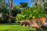 Arbatax Park Resort - Dune by Falkensteiner