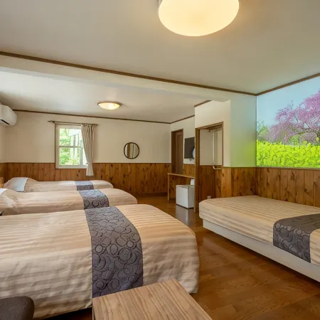 Healing Inn White Pension