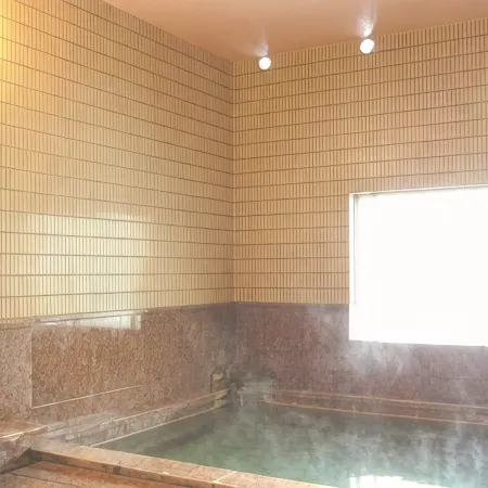 Hotel Senke