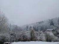 Odenwald Getaway: Quiet Vacation Rental in a Wooden House on the Edge of the Forest - Homestays