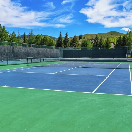 Sun Valley Luxury Home