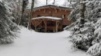 Unusual, secluded log cabin in the Vosges with luxury spa