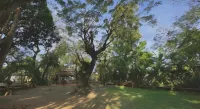 Rio Vista Bed and Breakfast - bar