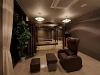 Himeji Castle Grandvrio Hotel - spa